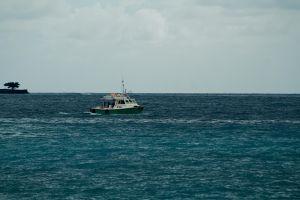 Kusadasi Scuba Diving for Beginners with Lunch and Transfer